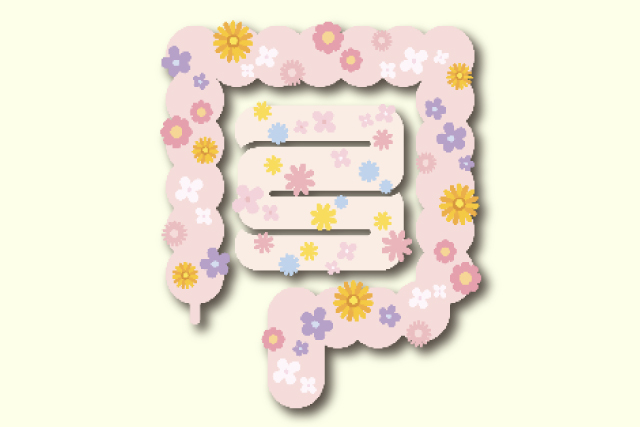 BG・21(L.A.B.M.P.)菌発酵物粉末